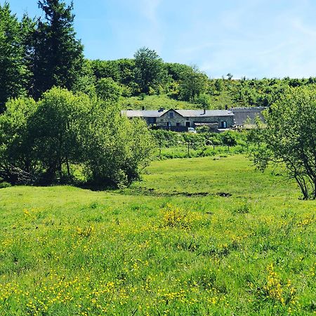 Ranch Du Haut-Languedoc La Salvetat-sur-Agout Екстер'єр фото