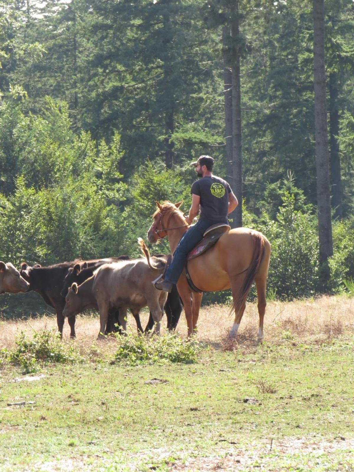 Ranch Du Haut-Languedoc La Salvetat-sur-Agout Екстер'єр фото